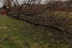 IMG_20210222_172115